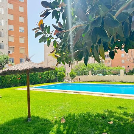 Estudio Con Piscina Alicante Ngoại thất bức ảnh