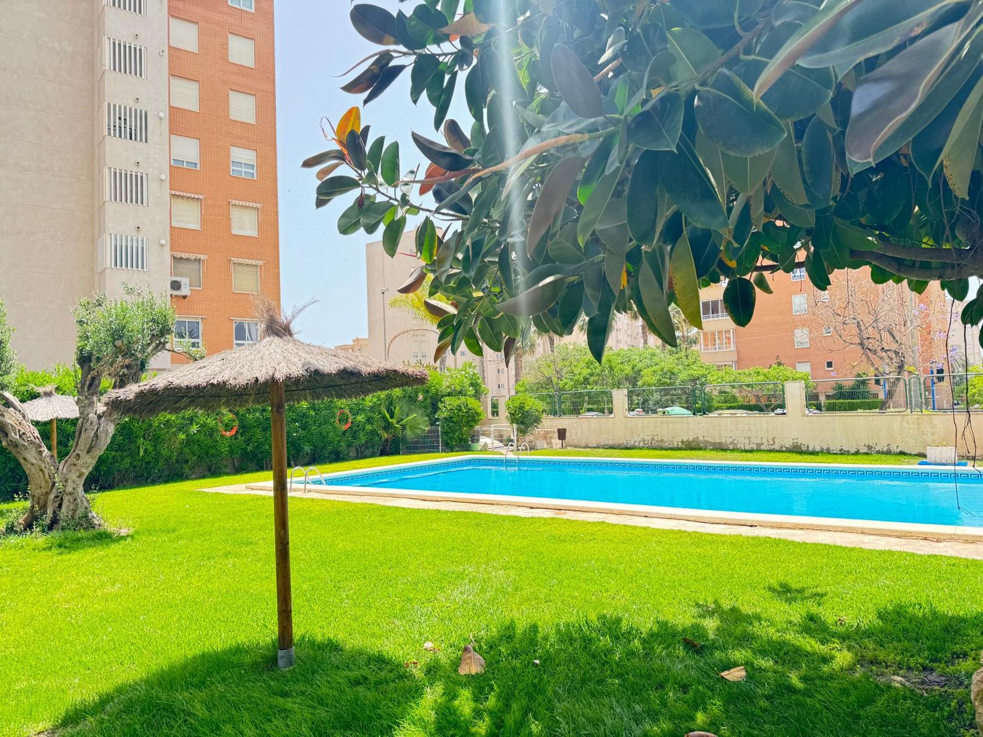 Estudio Con Piscina Alicante Ngoại thất bức ảnh