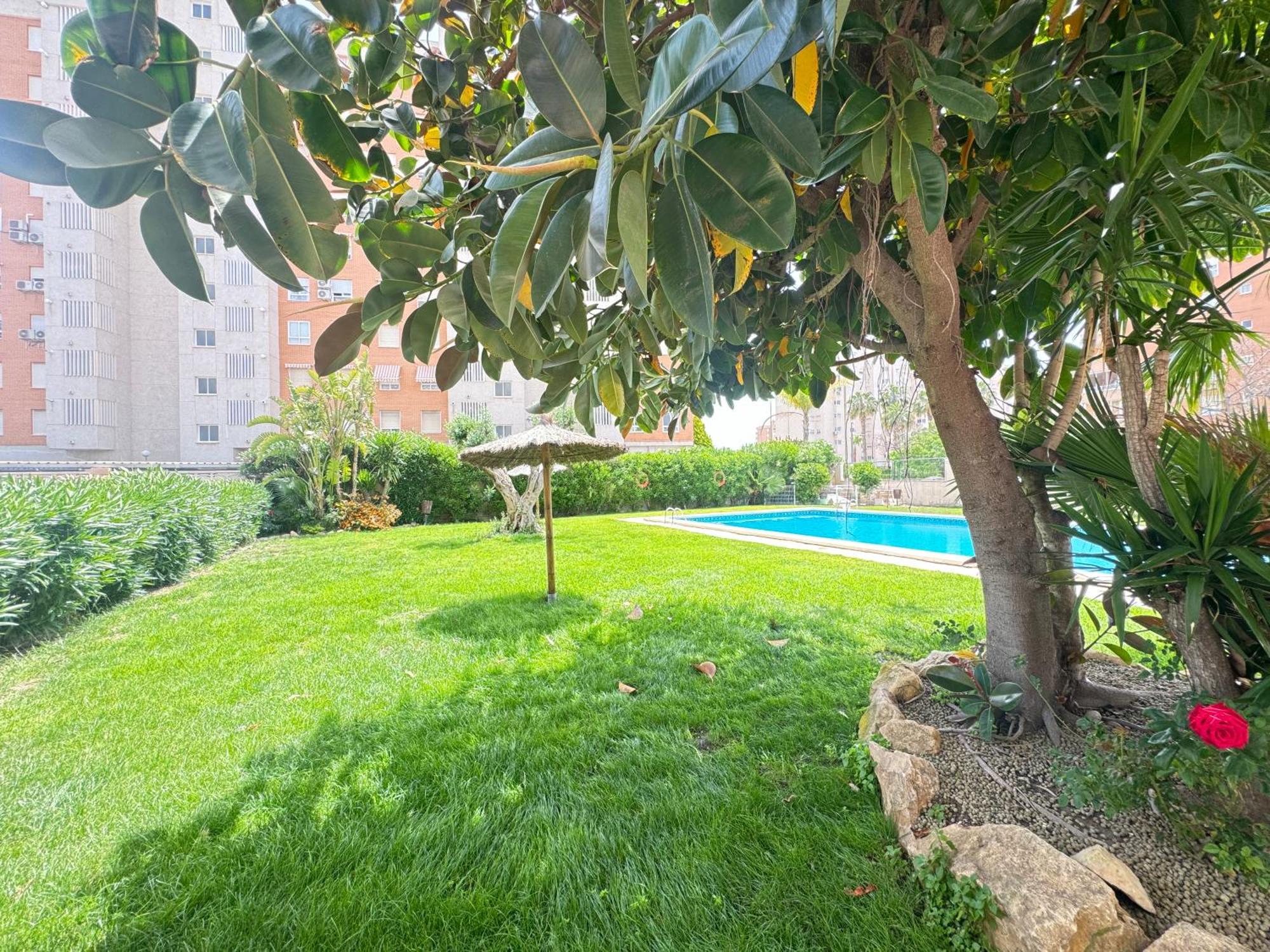 Estudio Con Piscina Alicante Ngoại thất bức ảnh
