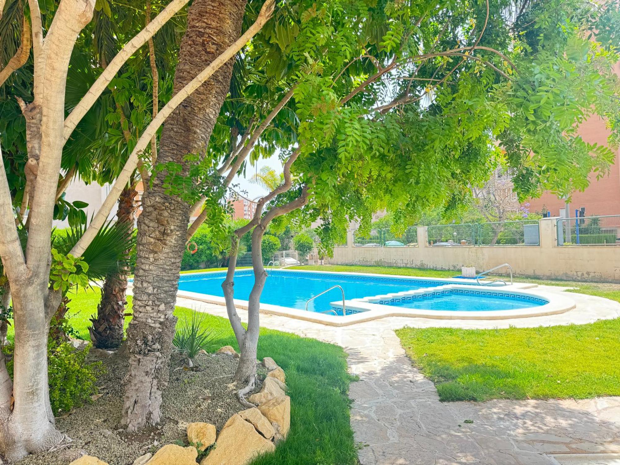 Estudio Con Piscina Alicante Ngoại thất bức ảnh